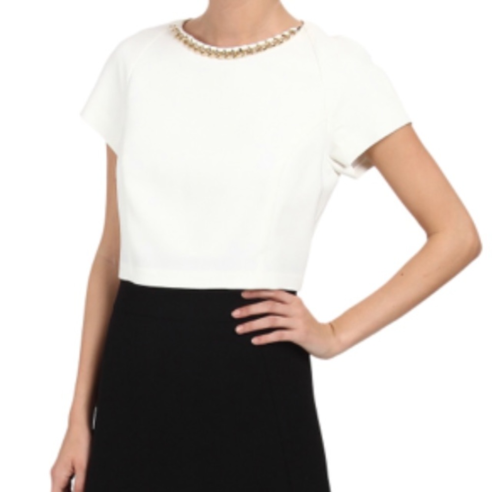 Brand New with tags Ted Baker Ailia Dress.